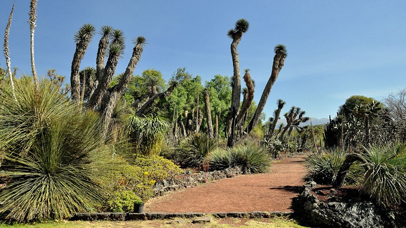 Jardin Botainico