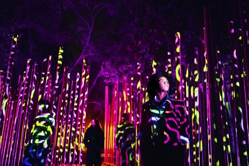 Light Cycles