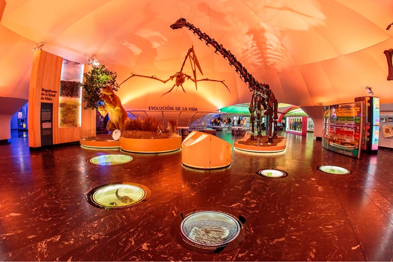 Museo de Historia Natural y Cultura Ambiental